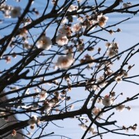 いえーーーーい?