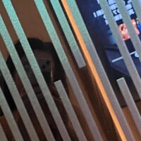 夢咲優羽(ゆめさきゆう)