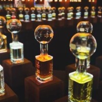 私は、赤ちゃん??