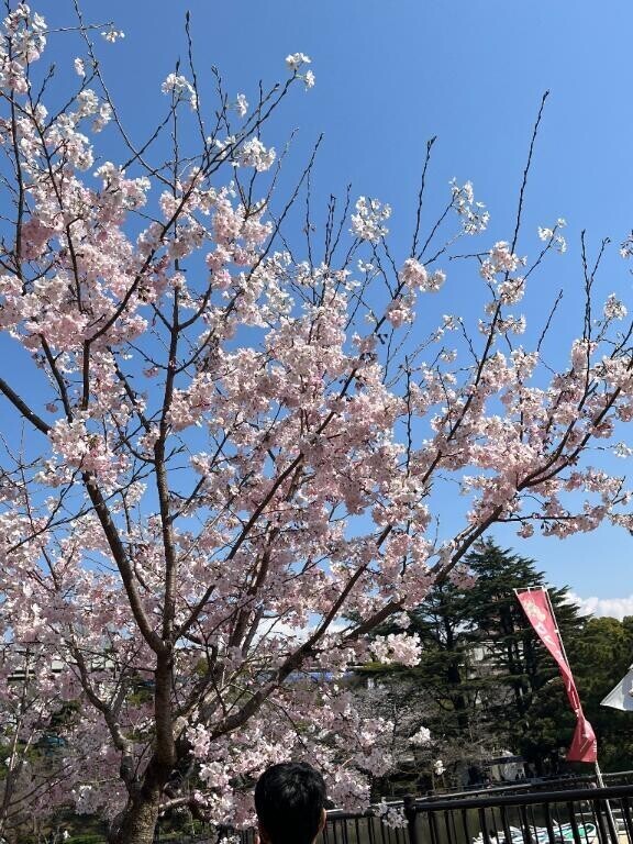 今日はお散歩～