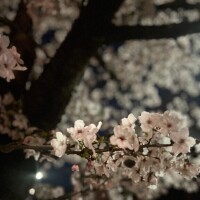 新年度スタート?