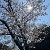 おはようございます(*^^*)