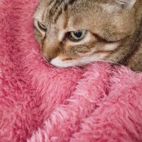 出勤