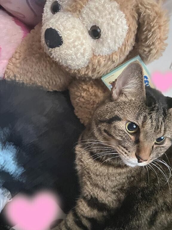 ありがとうございました?