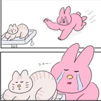 きょうも