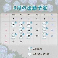 6月の予定！