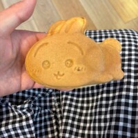 ガチオタですわん(?? ?? ??)