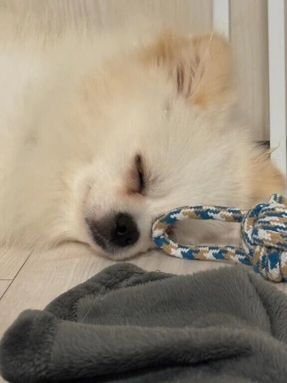 また明日🩷