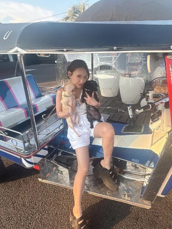 チワワフェスいきたい！！！🐶