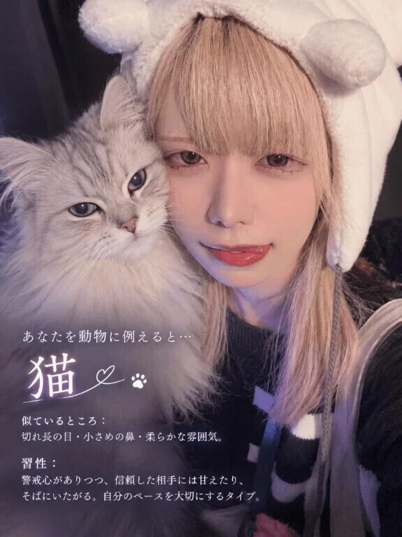 圧倒的猫顔