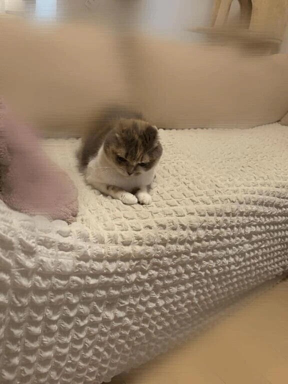 うぅーー😭