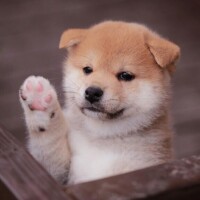 鈴谷ゆう