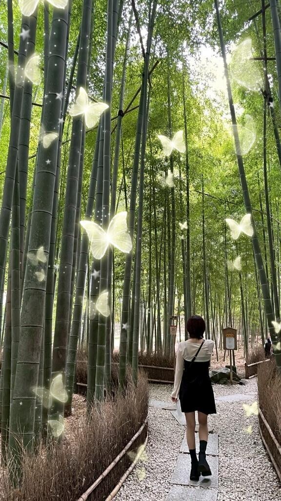 2/27ご予約完売????