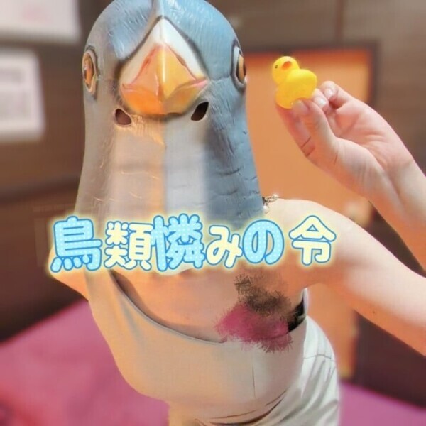 かぐや は 逃げだした！