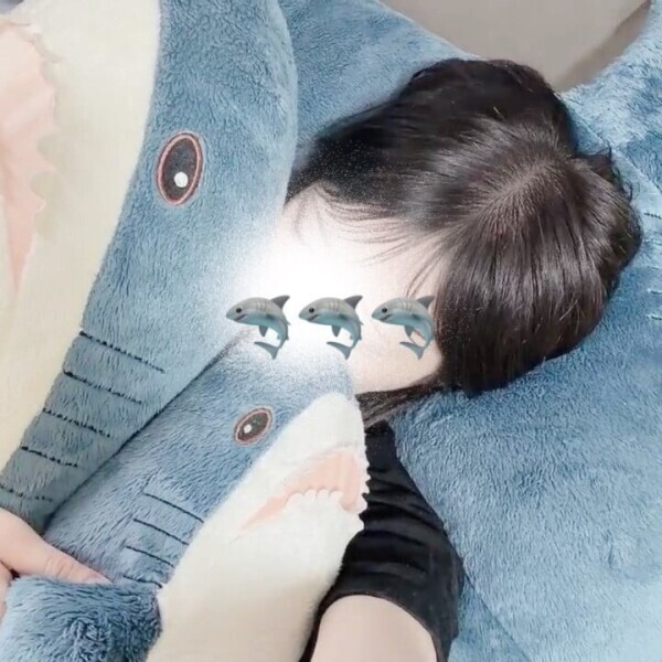 囲まれた🦈🦈🦈
