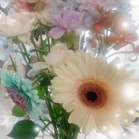 おりえ