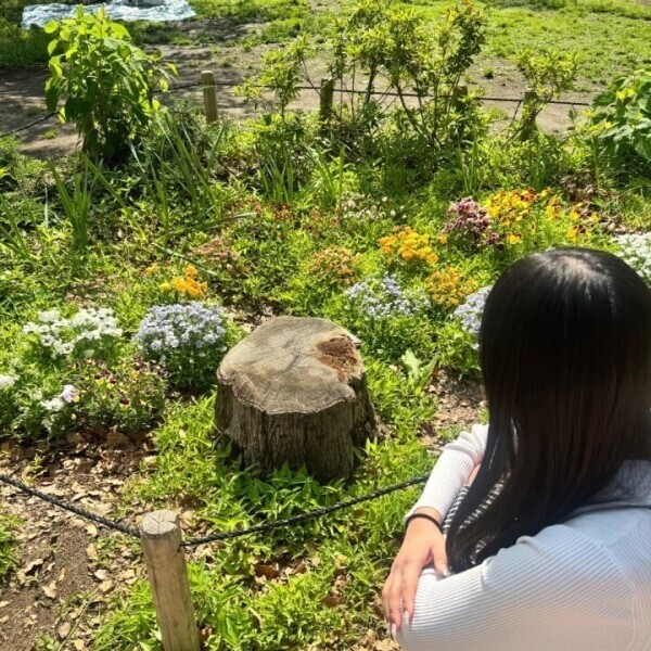 明日からです🙂‍↕️