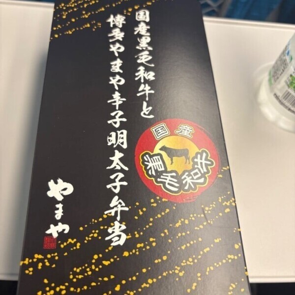 遊び行ってました！
