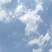 まひる