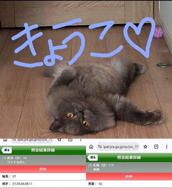 お休み中！！