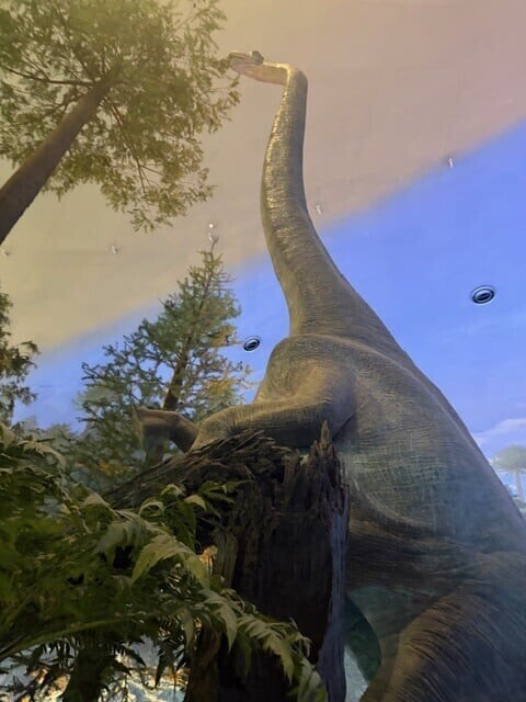 🦖🦖