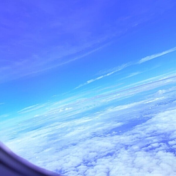 飛行機〜