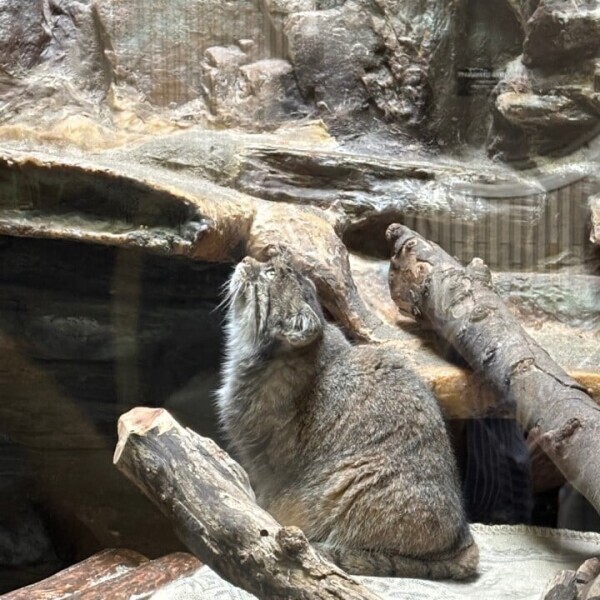 びっくり…