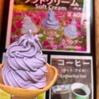 すみか
