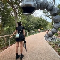 ここ