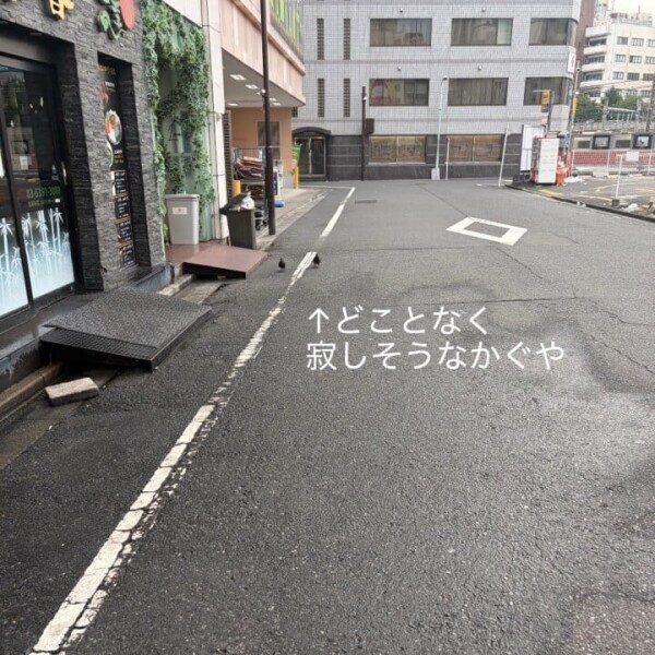 お盆の後の静けさ