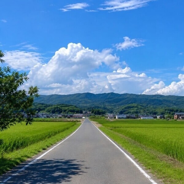 夏休み！🍉