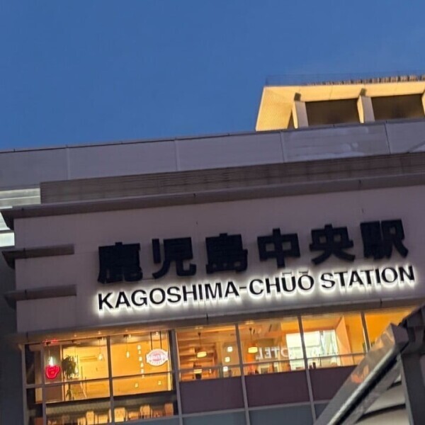 帰宅✈