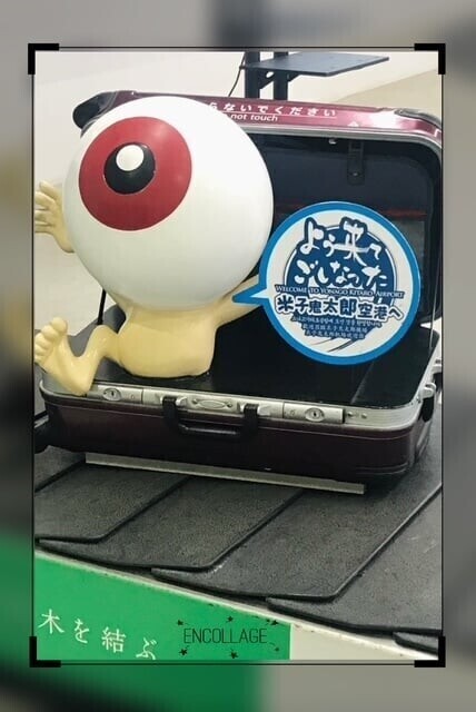 荷造り完了( ˊ̱˂˃ˋ̱ )