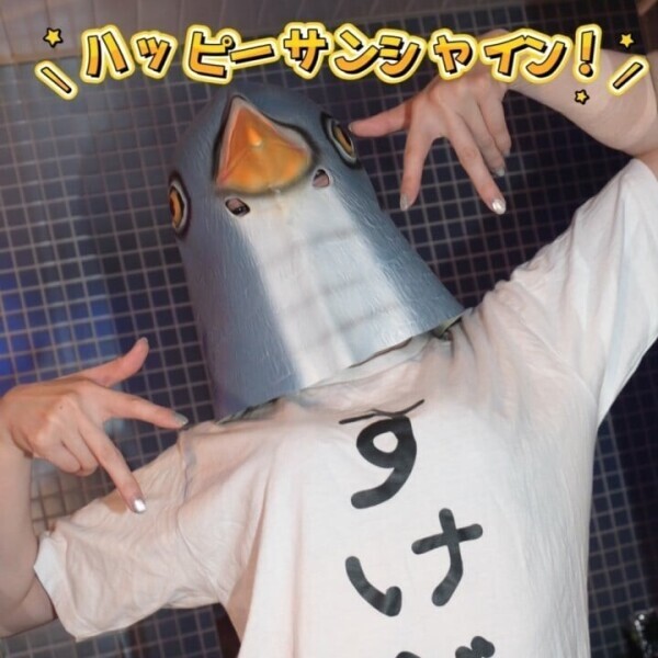 サンシャインかぐや