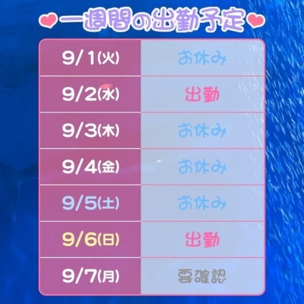 9月前半！🫧
