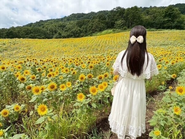 9月の予定🍁