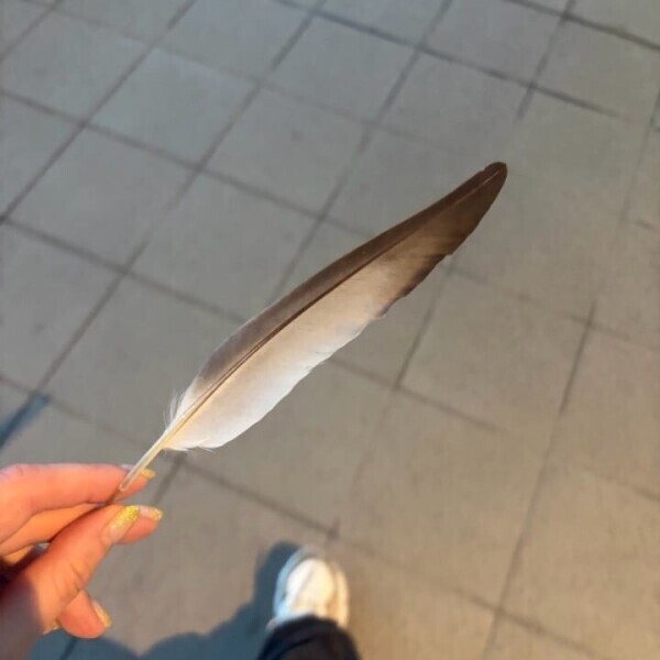そういうプ〇イ