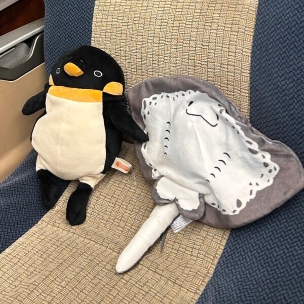 池袋にいるよ🙋‍♀️