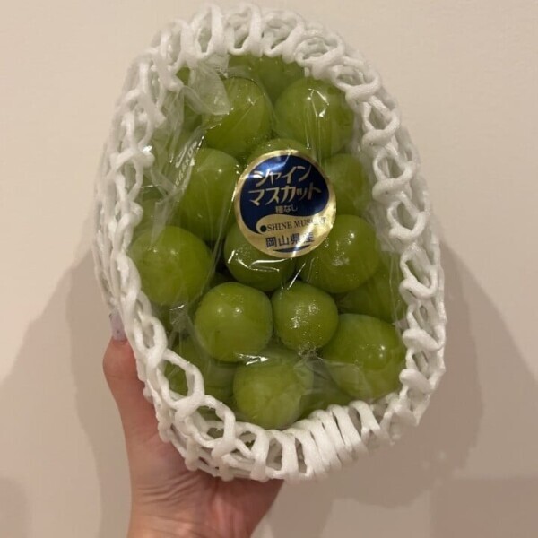 ワンダーランドへようこそ！