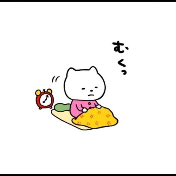 おはようございます🐱☀️