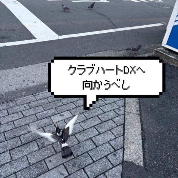 かぐやDX