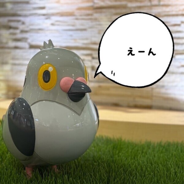 まめパト🐦