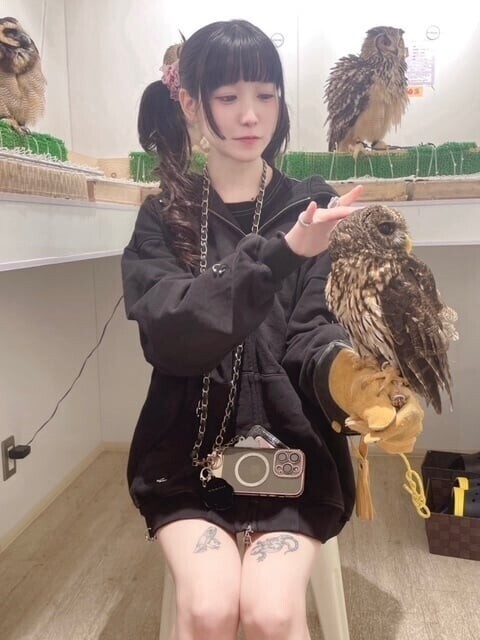 【マーモット有り〼】もふもふたち🦉