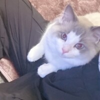 ゆづな
