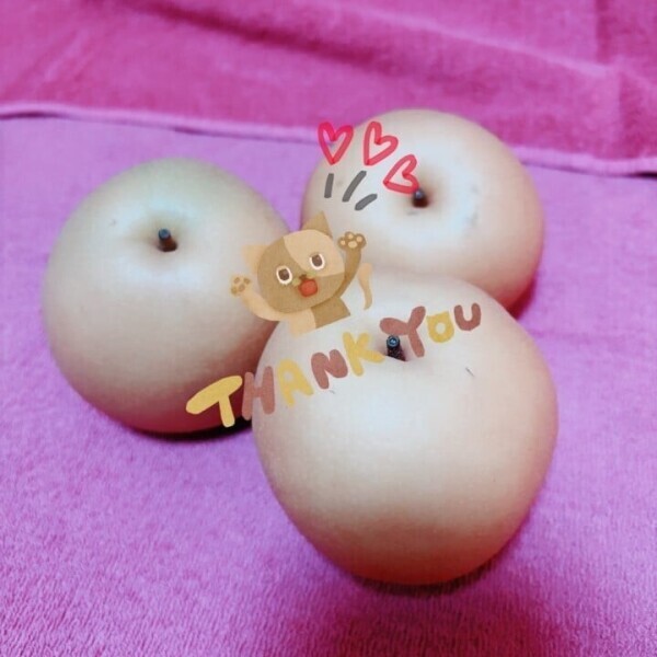 おつかれちゃん🍻