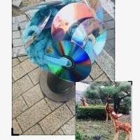 れん