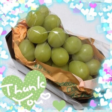 image1.jpeg