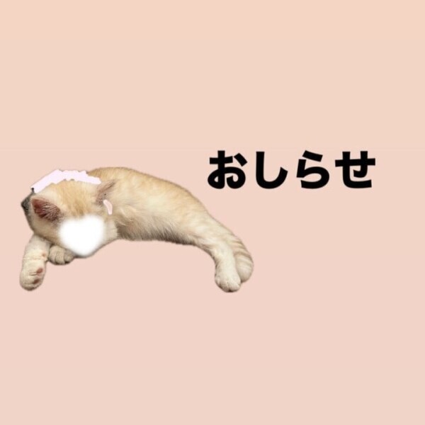 予定変更のお知らせ
