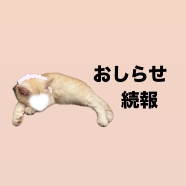 お知らせの続報