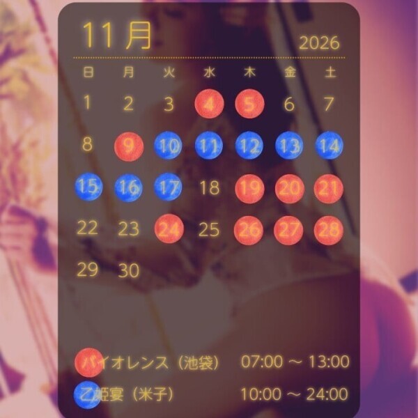 【11月のご予約可能枠をお送り致します✨】
